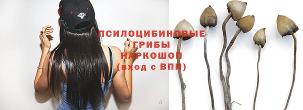 a pvp Покачи