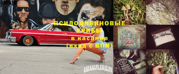 крисы Алексеевка
