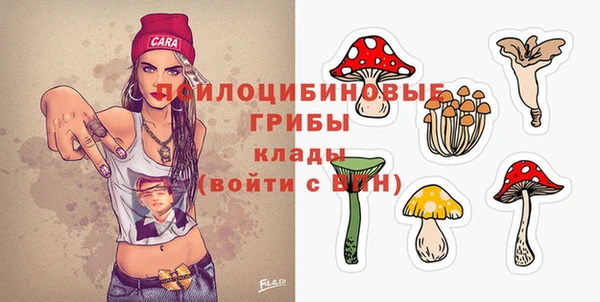 крисы Алексеевка