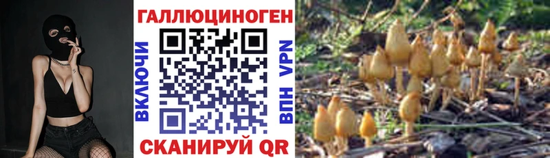 мега ССЫЛКА  сколько стоит  Кириши  Псилоцибиновые грибы Cubensis 
